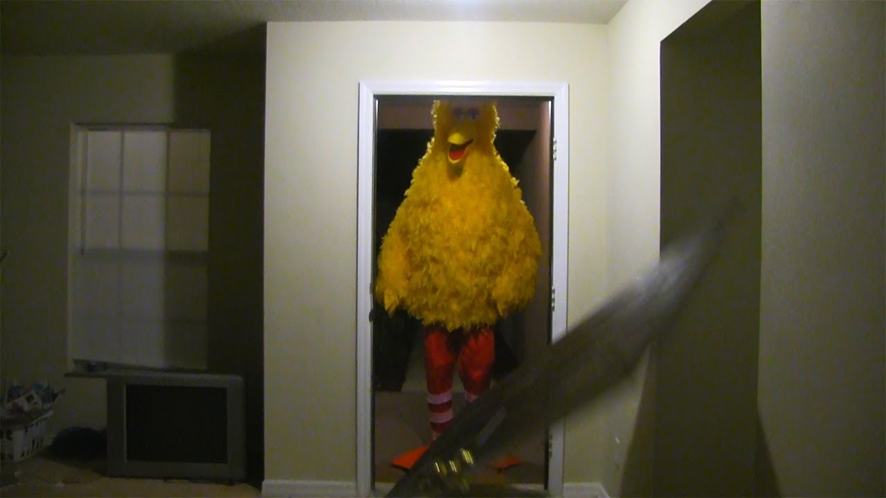 Big Bird