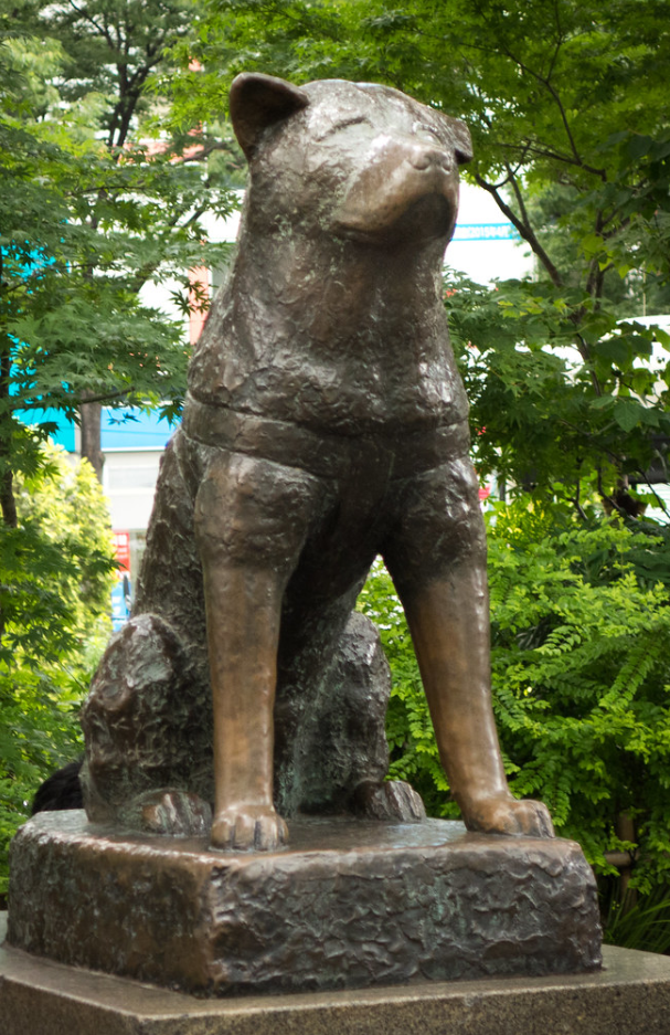 Hachiko Statue Shibuya