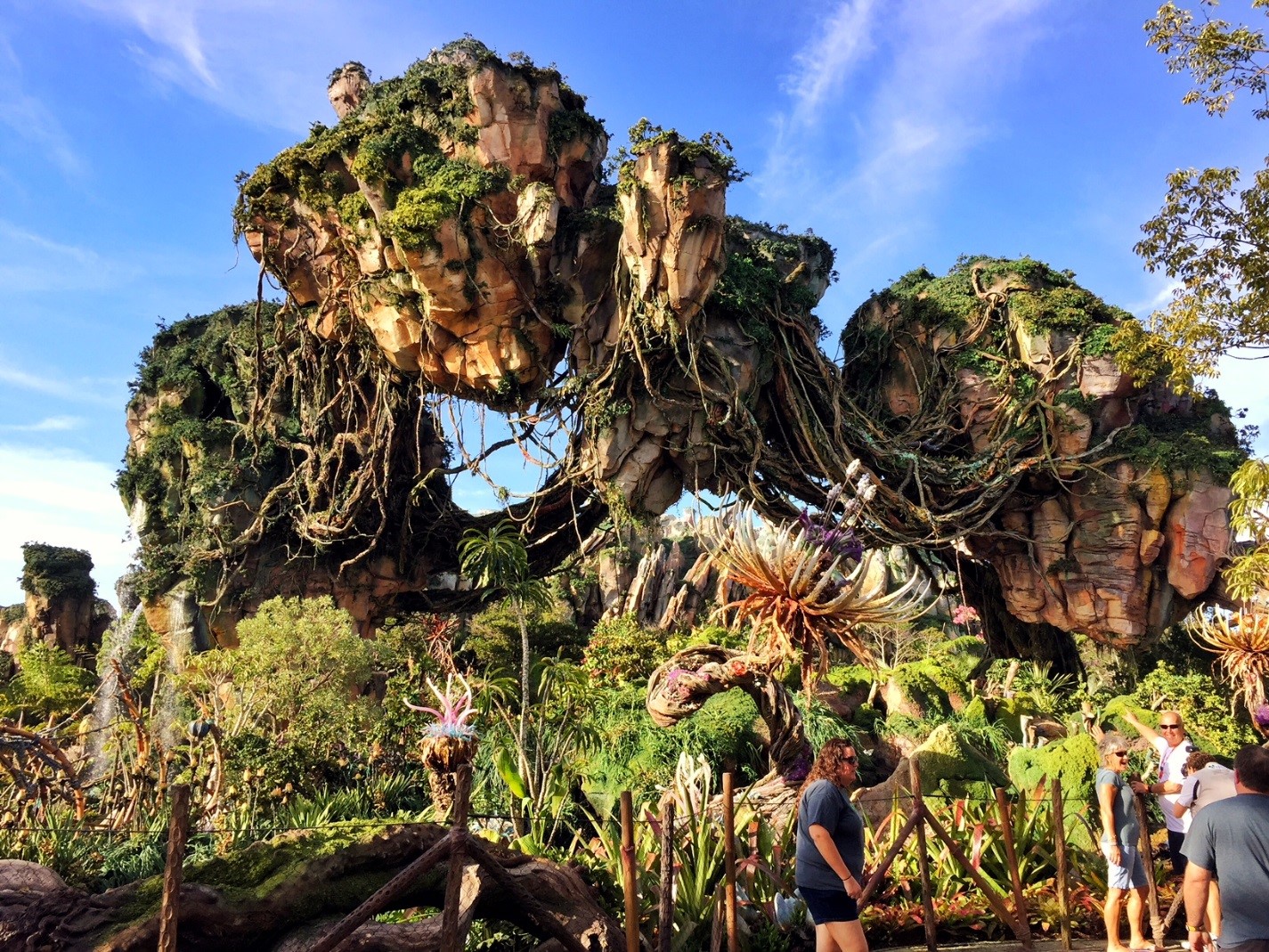 Avatar Ride