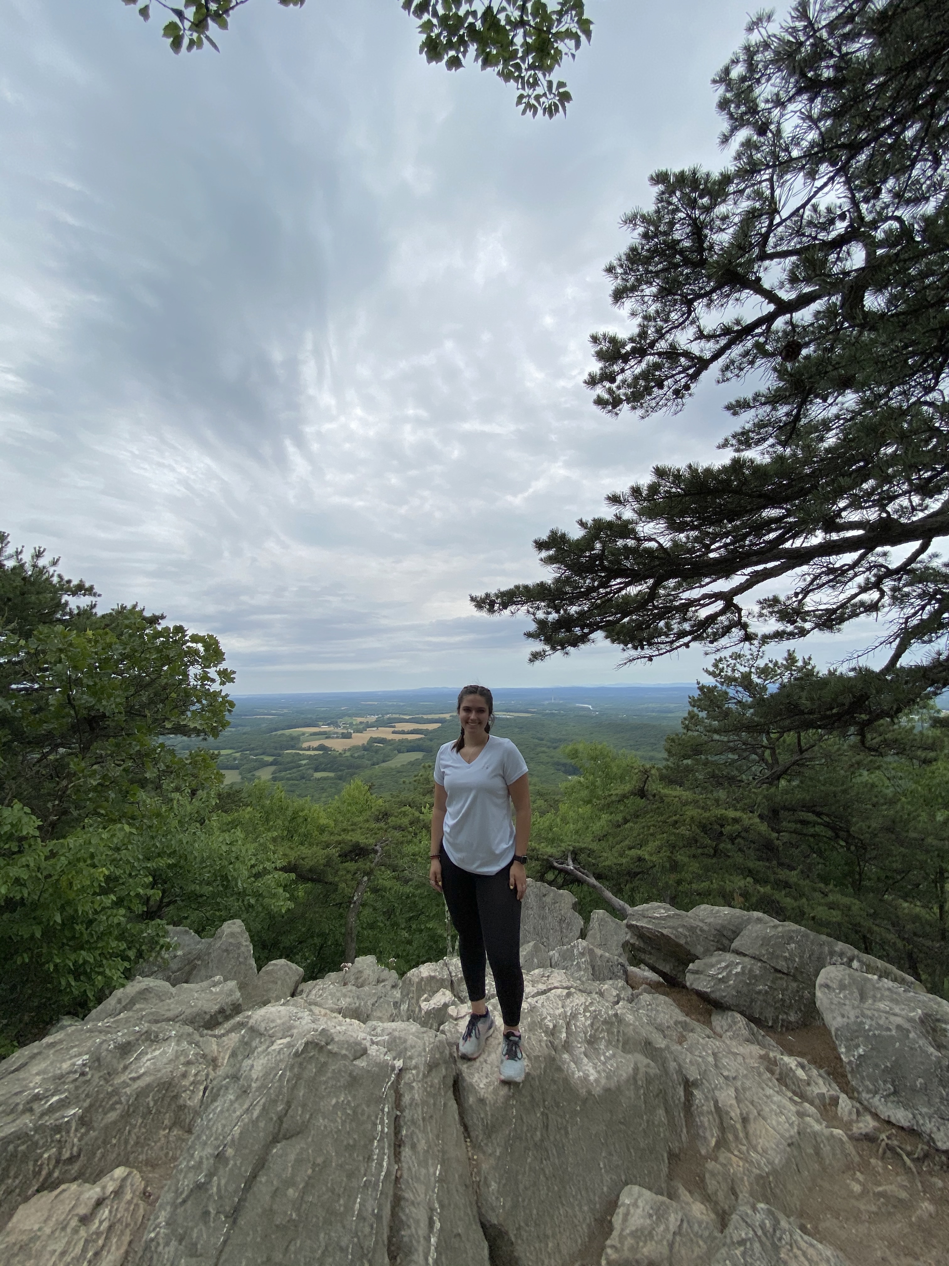 Overlooking Maryland